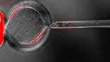 In a major medical breakthrough, researchers at the Oregon National Primate Research Center (ONPRC) have for the first time ever successfully converted human skin cells into embryonic stem cells – via a technique called nuclear transfer.